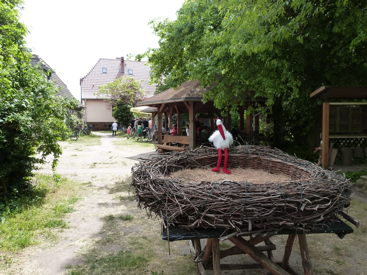 Stork farm Loburg, Saxony-Anhalt