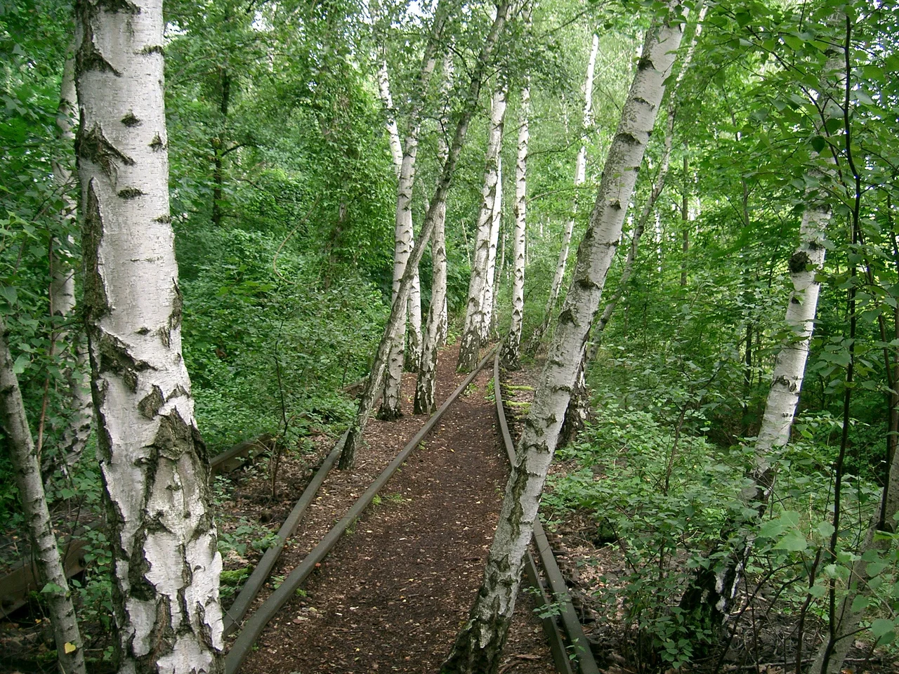 Natur-Park Südgelände auf dem Gebiet des ehemaligen Bahnhofes Berlin-Tempelhof Rbf (offizielles Motto „Bahnbrechende Natur“)