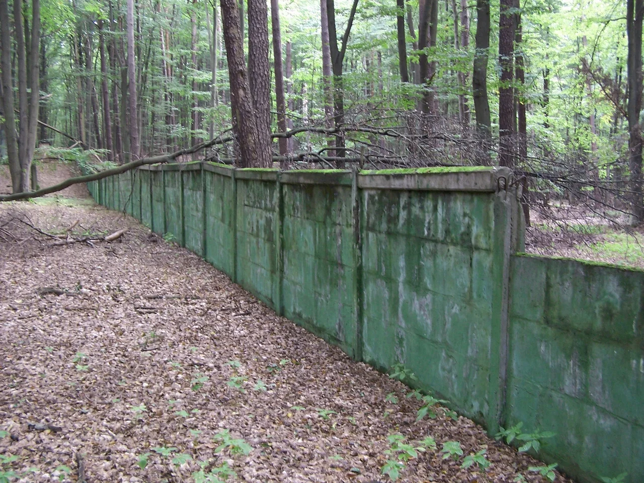 Wall of the Waldsiedlung (western part, original height)