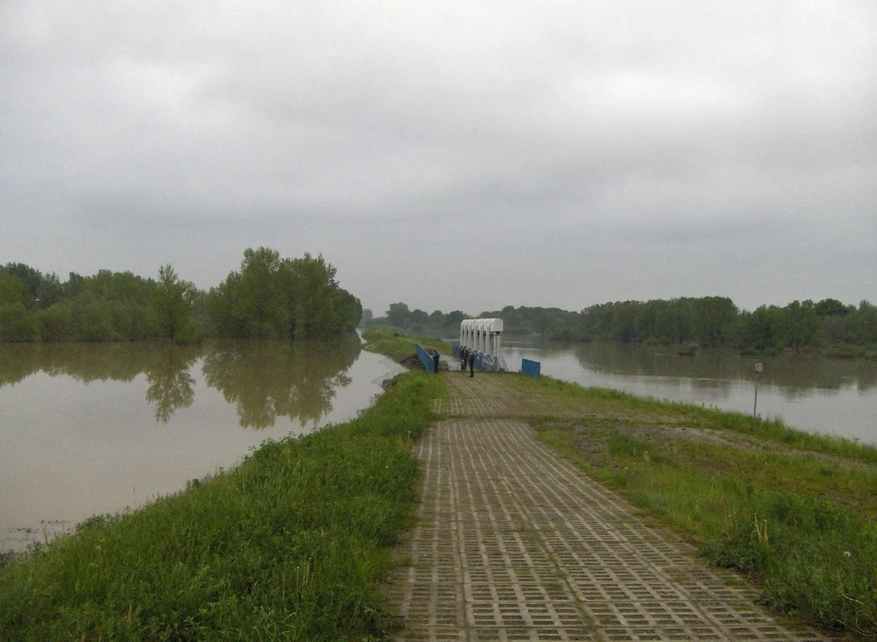Polder Buków and Odra river in powiat wodzisławski, Silesia, Poland