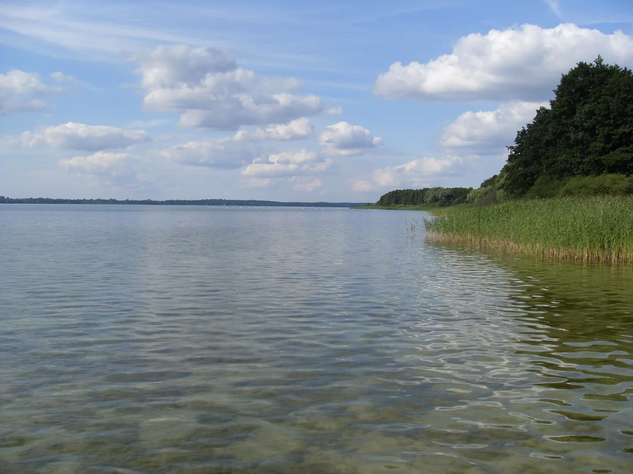 Jezioro Miedwie, (Madüsee) in the northwestern part of Poland