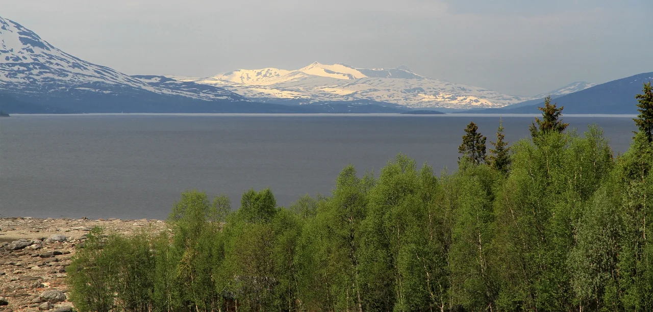Røssvatnet (lake) with a mountain massif including Dårtindan and Lukttinden in the background. Photograph taken in Hattfjelldal, Nordland, Norway in 2011 June.