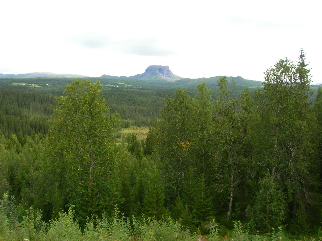 Mount Hatten in Hattfjelldal, Hattfjelldal municipality, county of Nordland, Norway. Photo 28 August 2007 with a Nikon Coolpix 5600 5,1 Megapixel camera.
