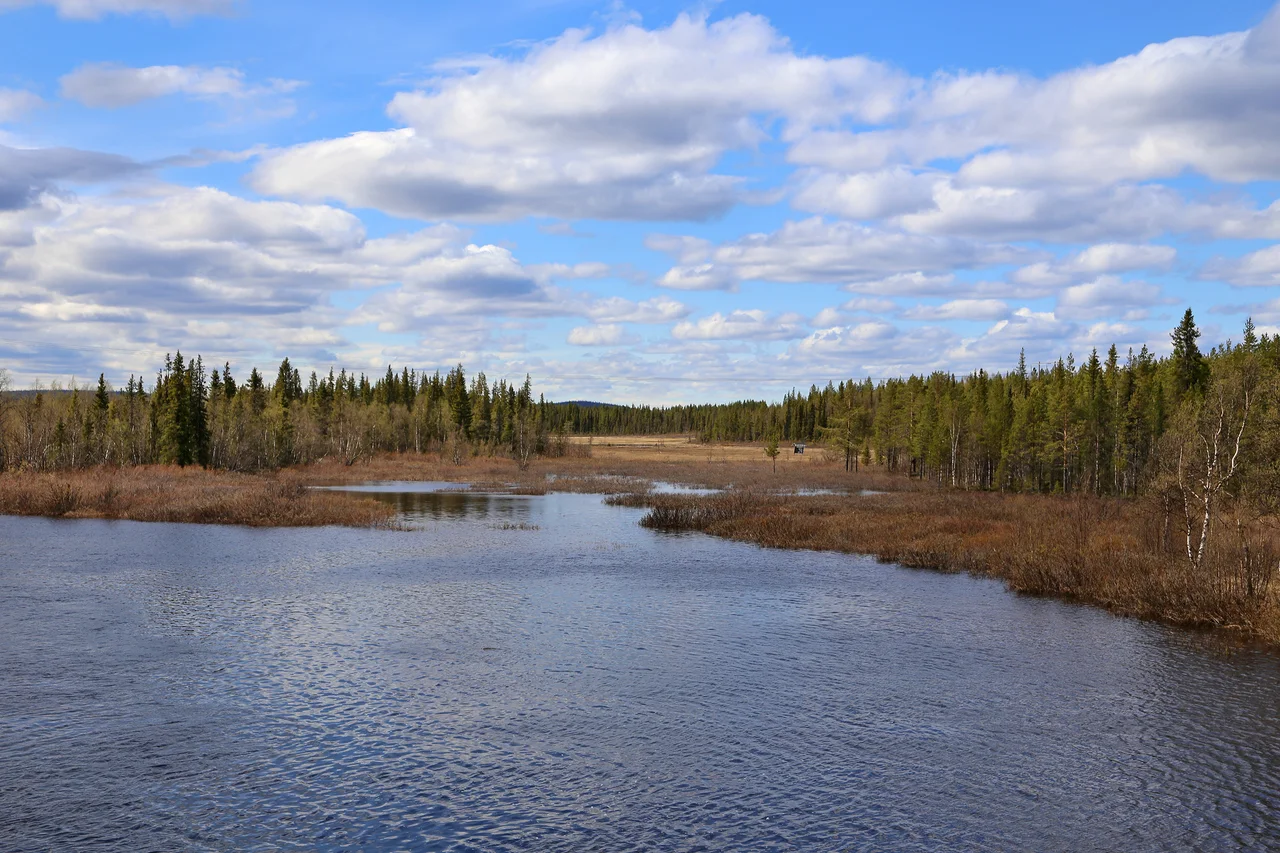 Lapland: Landscape near Hakkas, Northern Sweden.