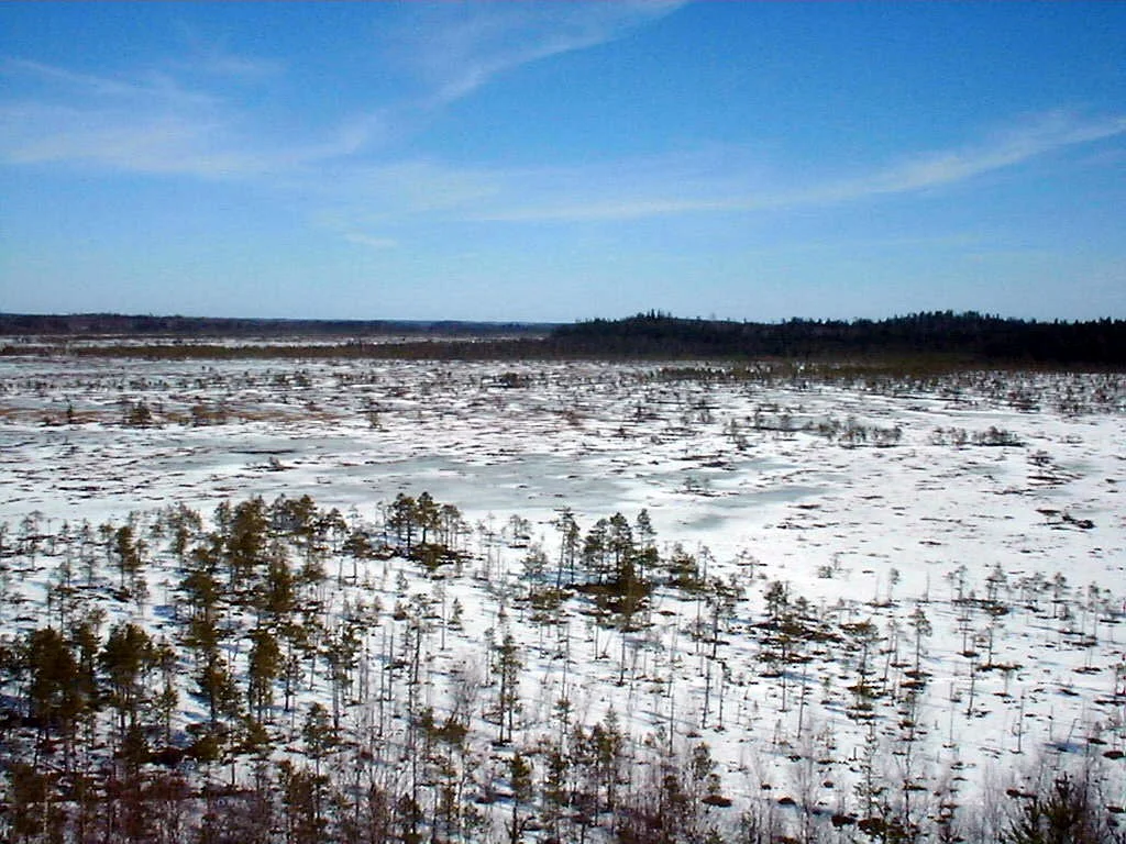Torronsuo National Park in Tammela, Finland