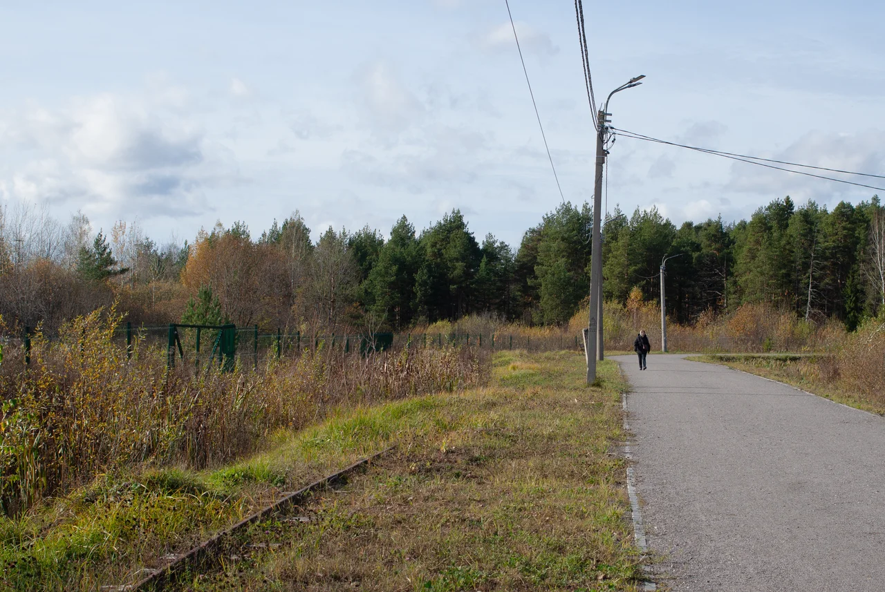 railway line Sharya Forest Museum Railway