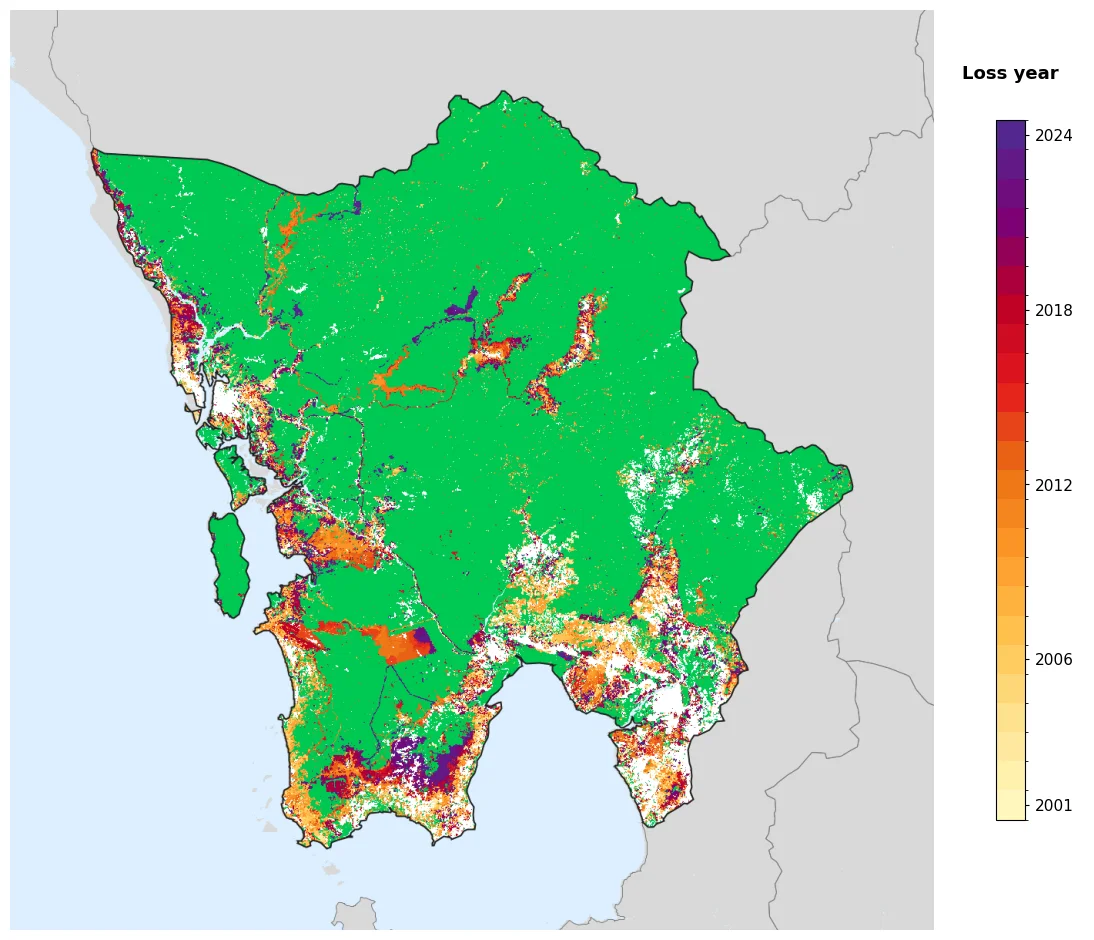 Map of annual tree-cover loss year in the Global Forest Change dataset for Koh Kong. Pixels with tree cover of at least 30% in 2000 and no mapped loss through 2024 are shown in green; pixels with mapped tree-cover loss are coloured by the first detected loss year from 2001 to 2024; land below the 30% tree-cover threshold in 2000 is shown in white; ocean areas are shown in pale blue.