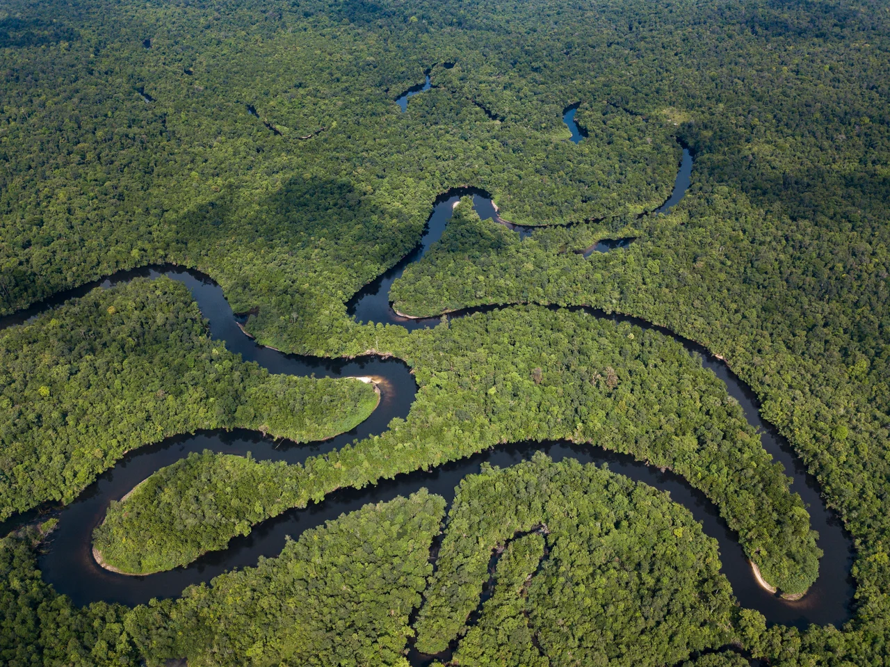 An aerial shot of the Cardamom Rainforest that Wildlife Alliance rangers actively protect 1.4 million hectares of.