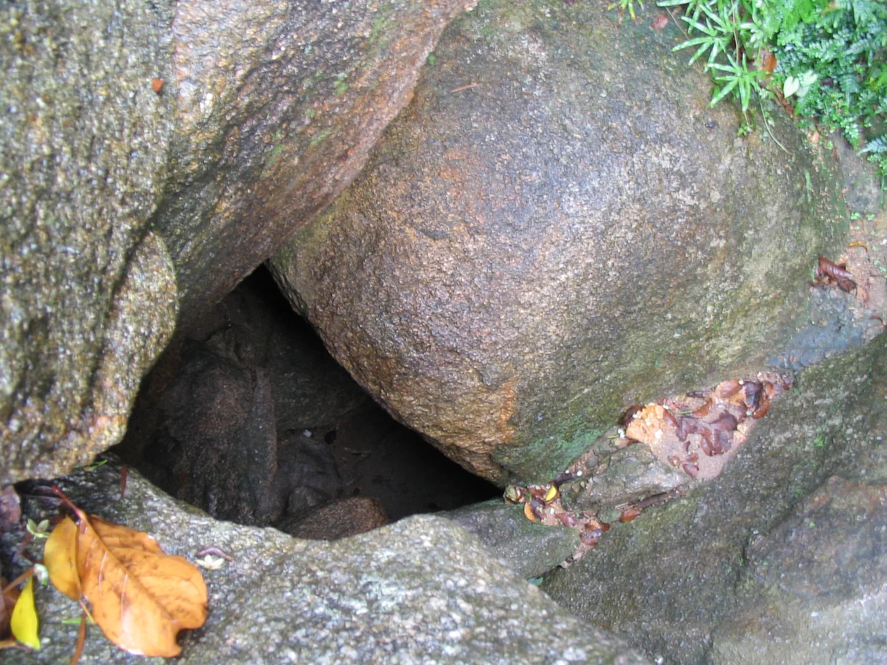Photo of Cheung Po Tsai Cave