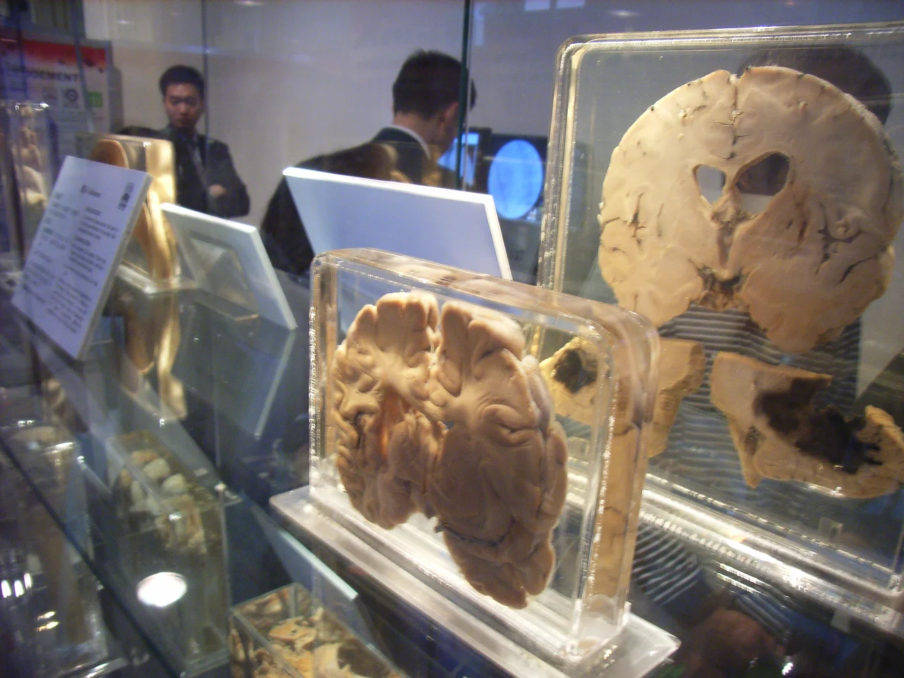 香港醫學博物館 (英文名字: Hong Kong Museum of Medical Sciences,簡稱 HKMMS),是香港一所以醫學為主題的博物館。它位於香港島中西區上環。