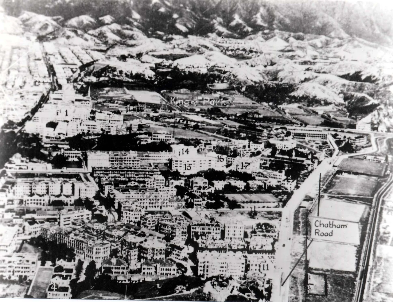 Panoramic view of north Tsim Sha Tsui, Chatham Road and King's Park