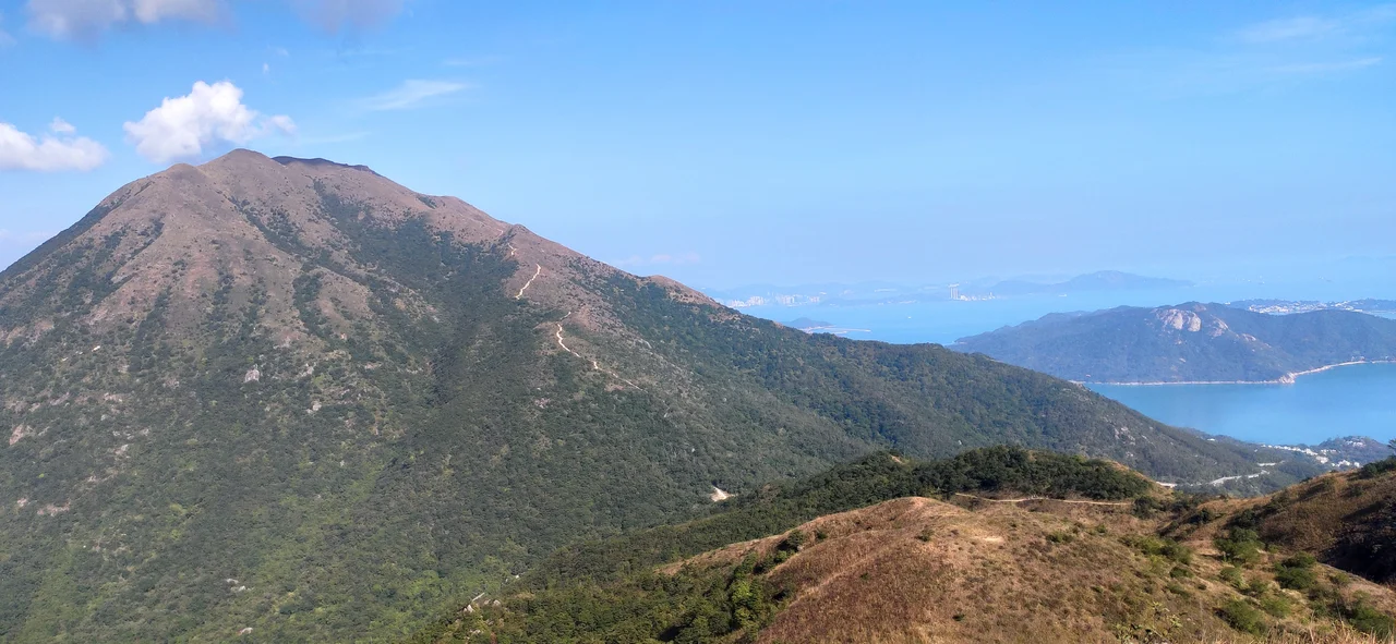 Montane grassland during the dry season (December) in Lantau Country Park, Lantau Island, Hong Kong SAR, China.