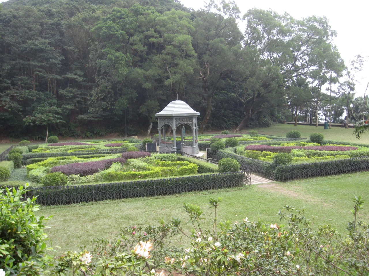 Victoria Peak Garden Lawn Plants