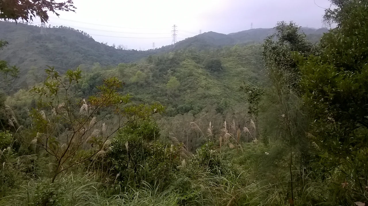 Tai Lam Country Park, Hong Kong, China