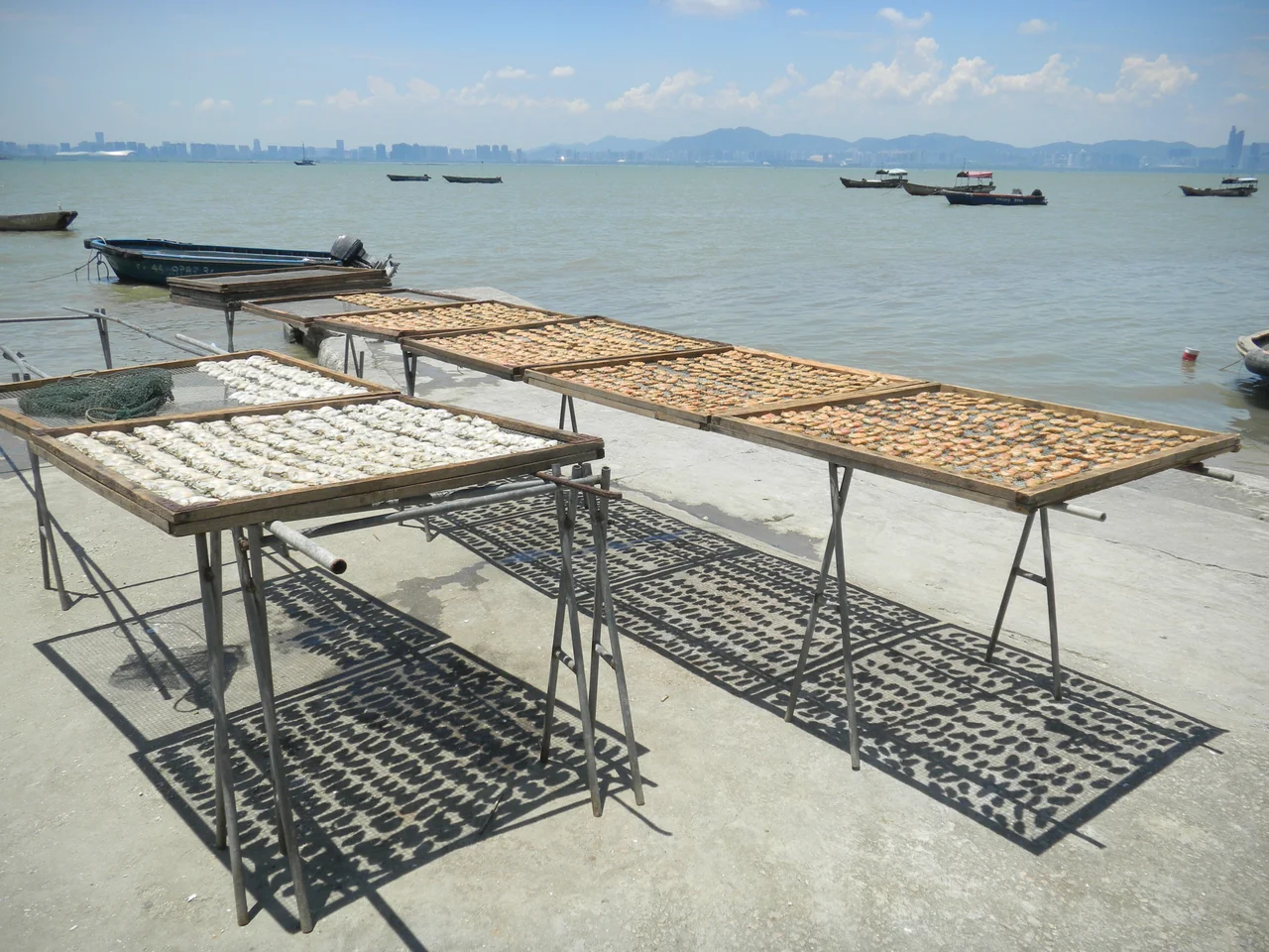 Sun dried oysters in Lau Fau Shanlooking towards Shenzhen