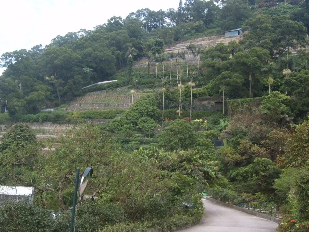 Kadoorie Farm and Botanic Garden, Lam Tsuen, Tai Po, Hong Kong. Photo taken by myself (User:Sl) on 23 September 2006.
香港大埔林村嘉道理農場暨植物園果園。