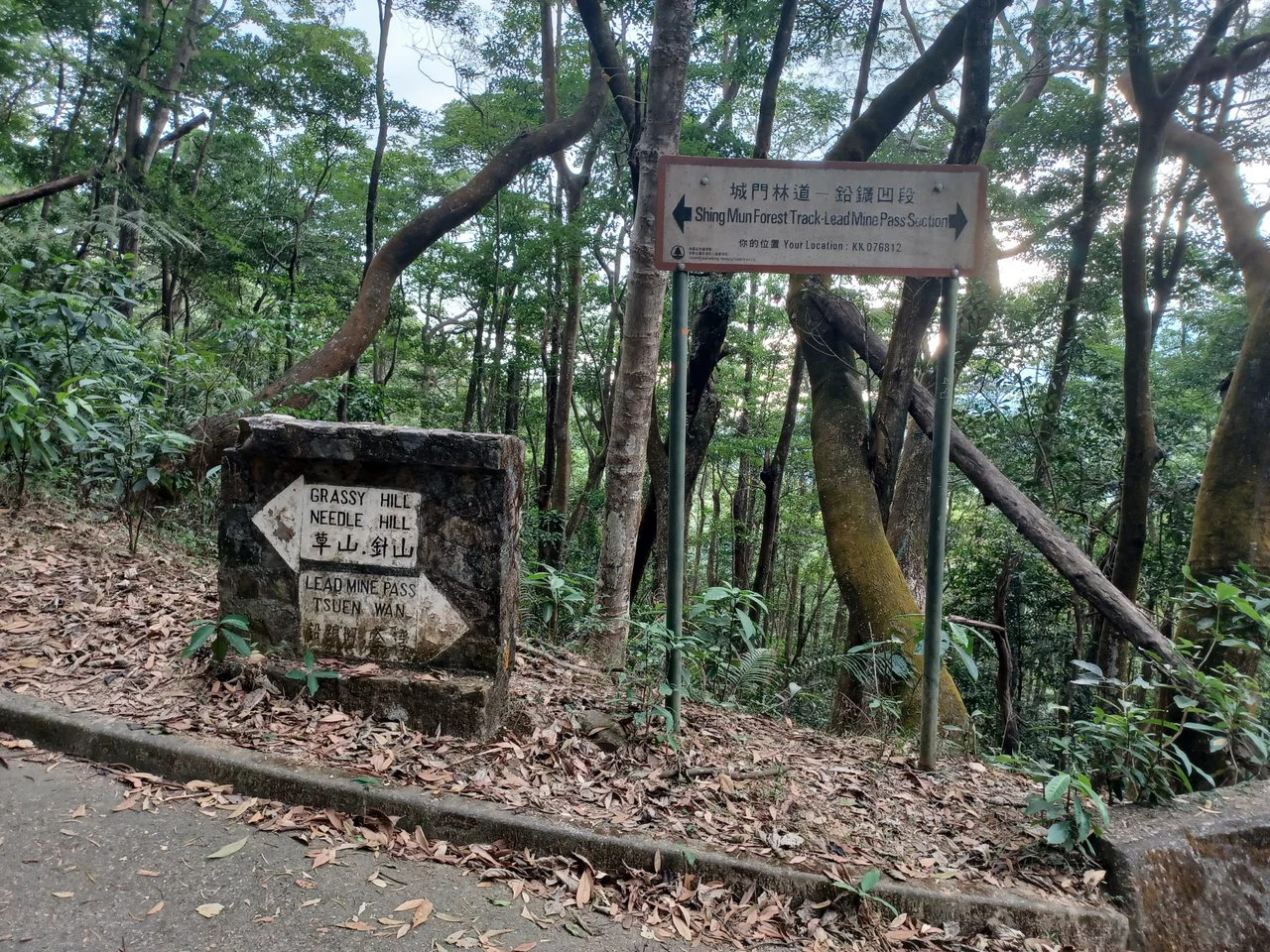 Shing Mun Forest Track - Lead Mine Pass Section Road sign