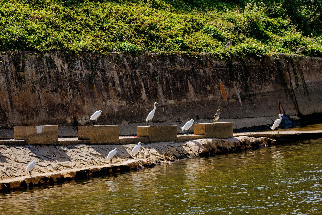 Jiuqu Brook or the River of Nine Bends is a popular tourist destination in Wuyi Mountains. This image is taken from a raft.