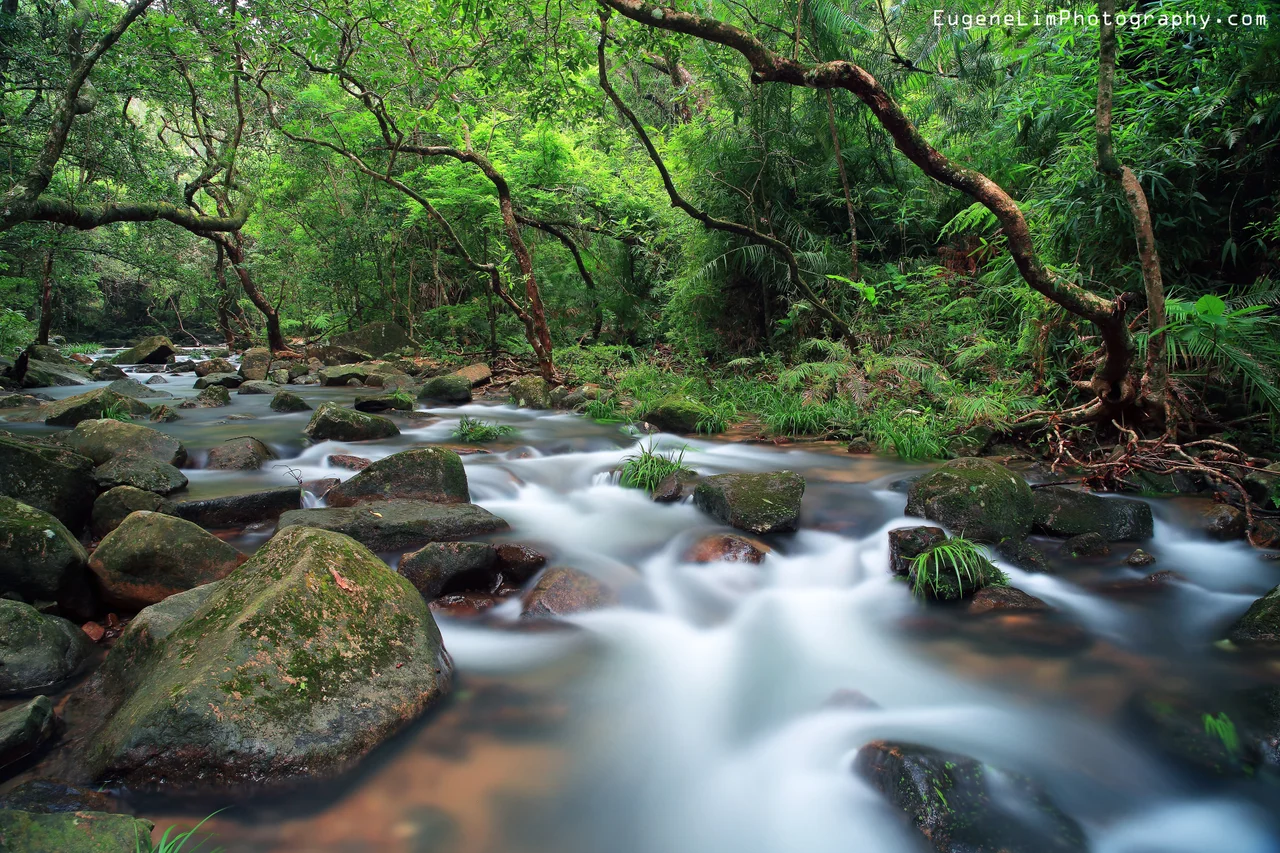 Tai Po, Hong Kong