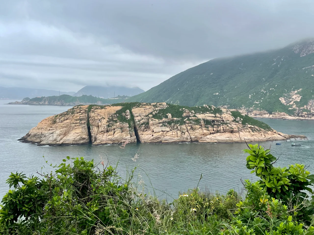Cape D'Aguilar Marine Reserve