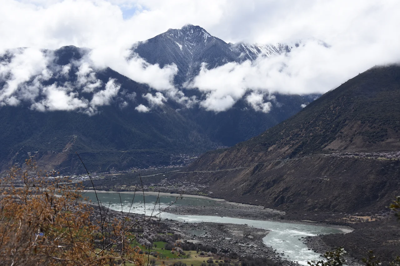 Q30026988：The Yarlung Zangbo River bypass Namjagbarwa turning south, forming the world's longest and deepest Grand Canyon, created in the south-eastern Tibetan Plateau exotic forest ecological landscape. The ancient peach forest on the shore is just in full bloom, although the plateau temperature is lower; it has brought people a breath of spring.