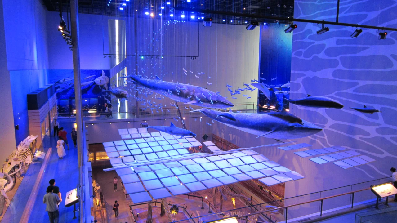 Ocean World in Guangdong Museum