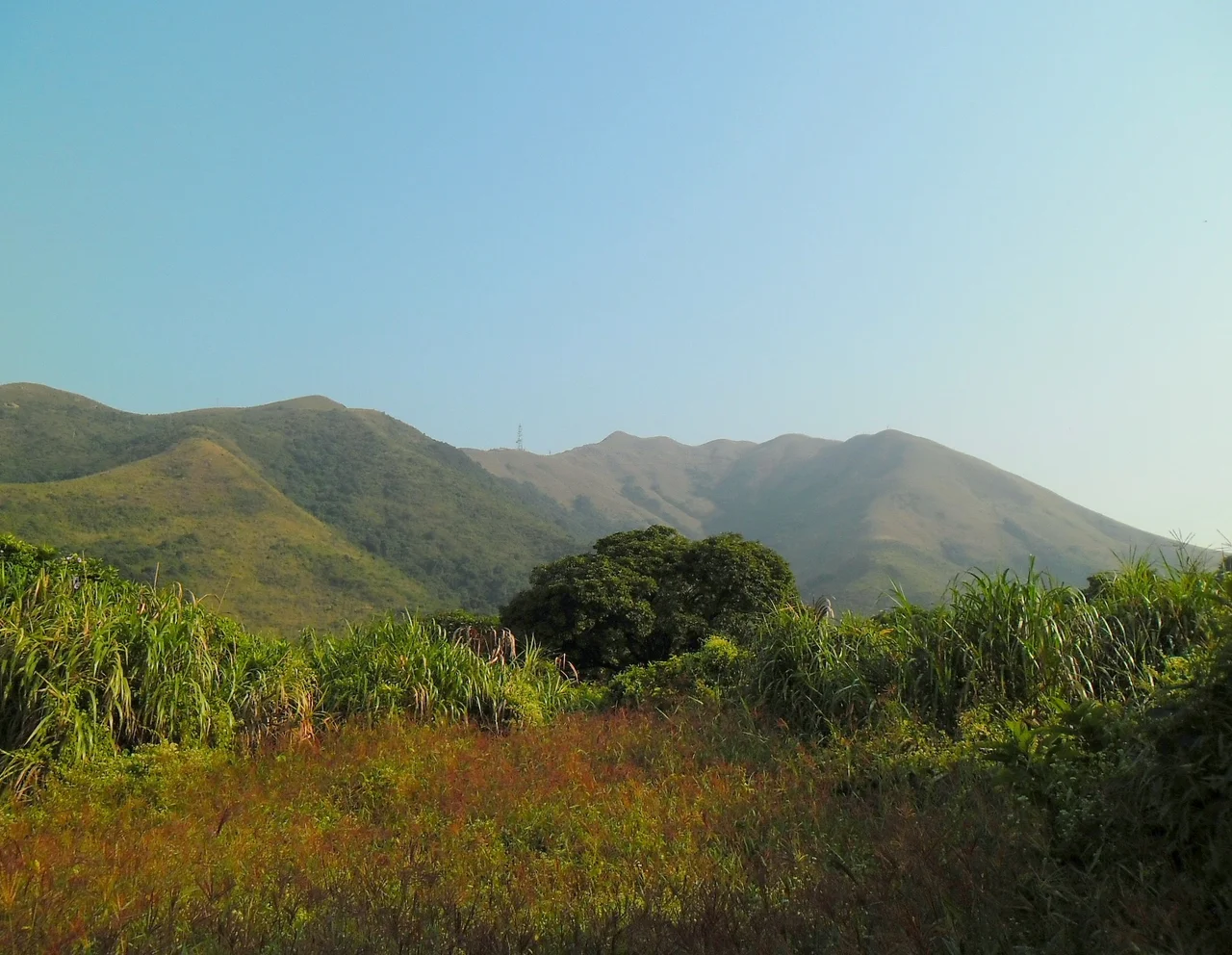 Robin's Nest, as viewed from Sha Tau Kok Road is a 492meter tall, wide hill, located just south of the Border between Shenzhen and Hong Kong. Captured by Earth100, image looks exactly the same as seen in real life.