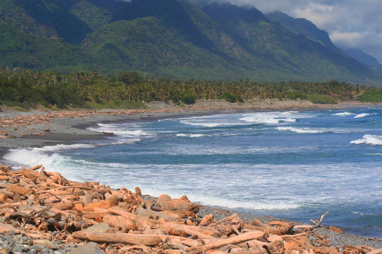 Driftwood on Taitung County coast.