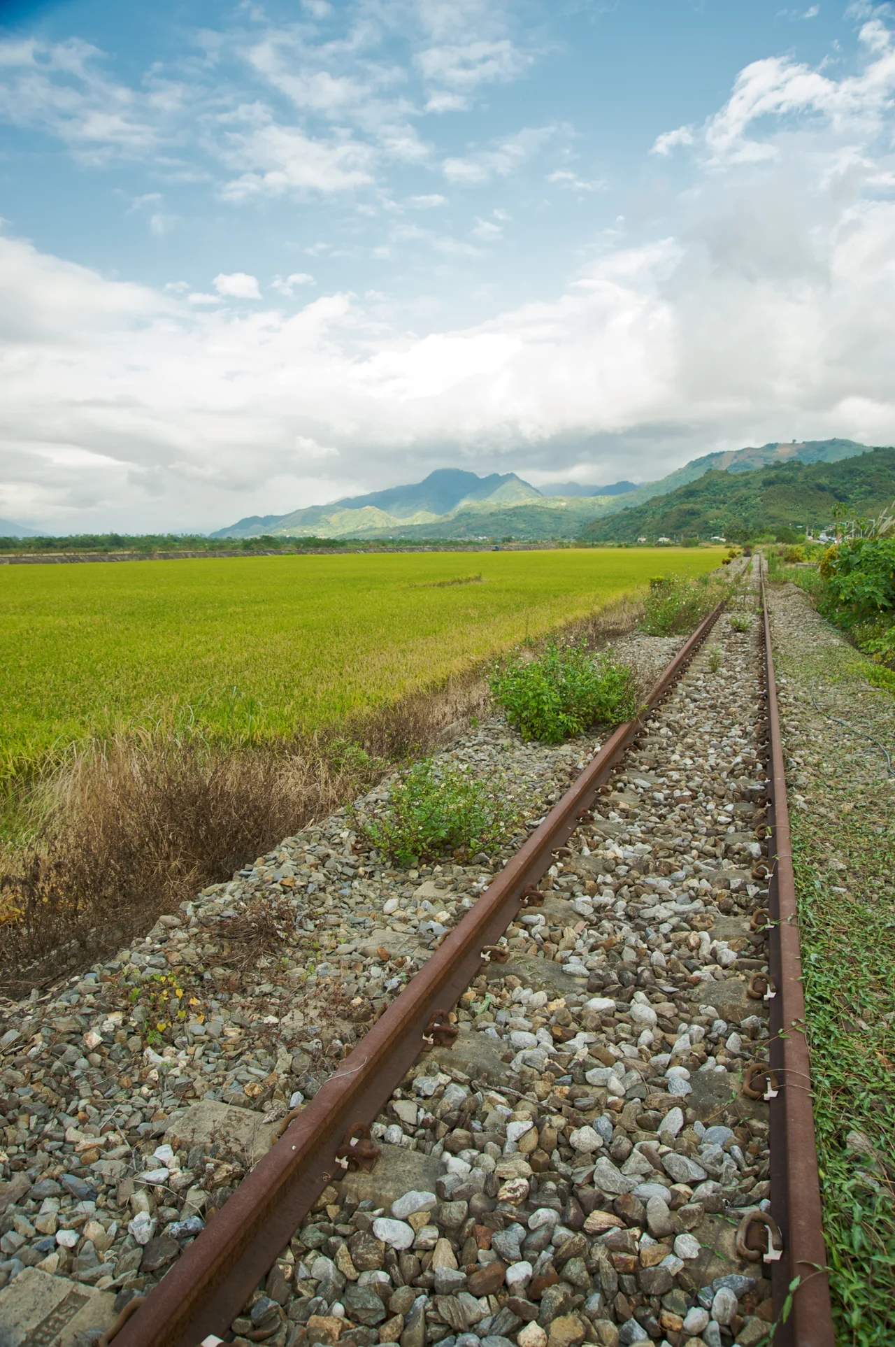 commissioned Railway Tracks by a rice paddy by the Huatung Highway in Taiwan.