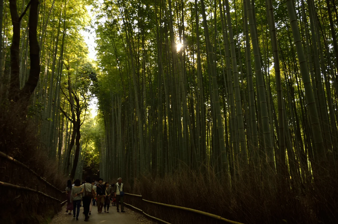 Arashiyama, Kyoto, Japan.
5 May. 2013